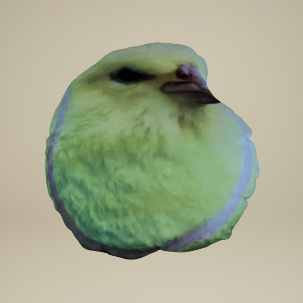 Tennis Ball Bird Plushy